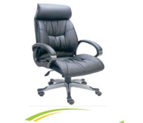 Director Chair