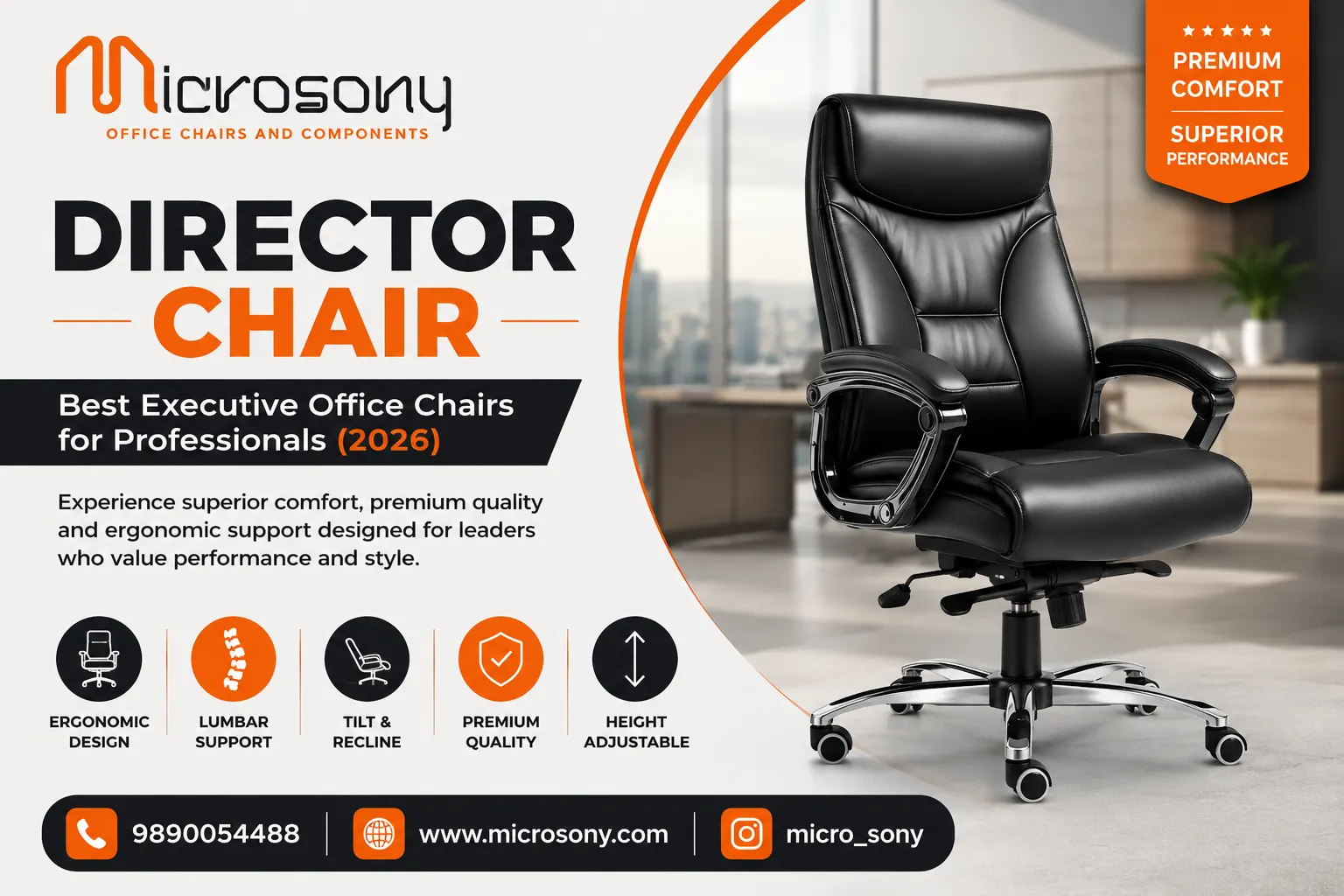 Director Chair